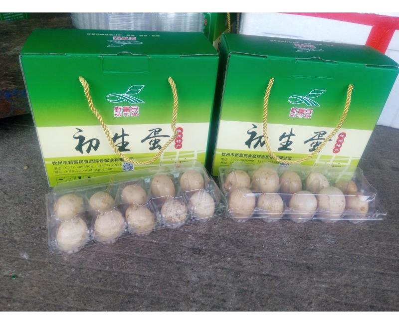 新富民初生蛋-源于天然 滋補(bǔ)有道。